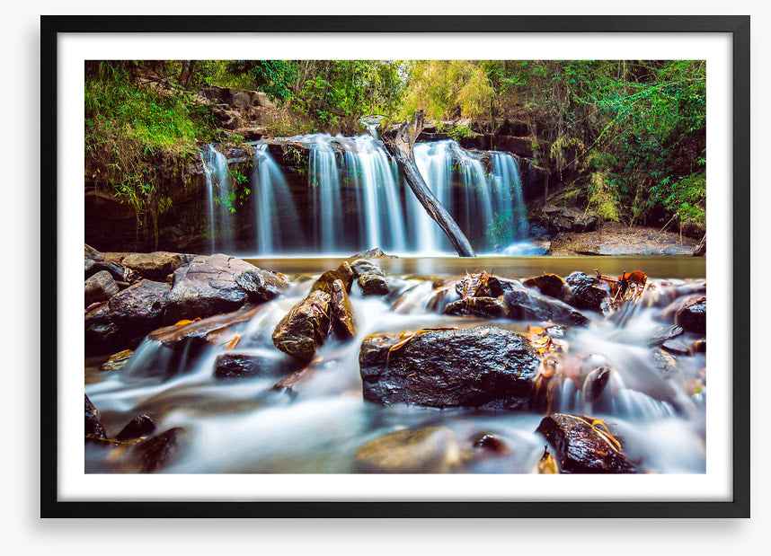 Timber falls