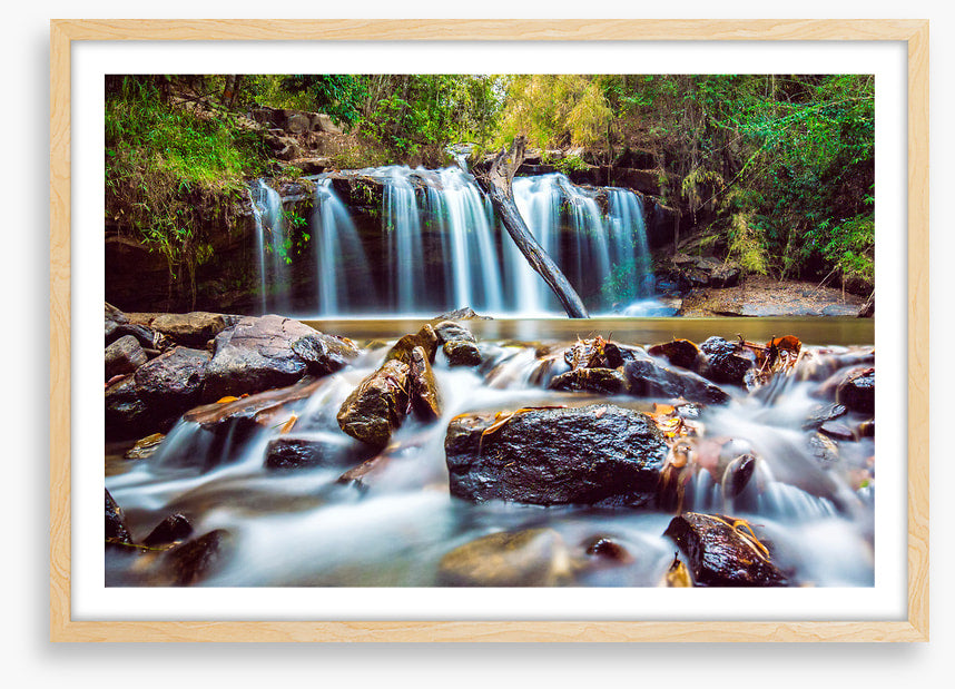 Timber falls