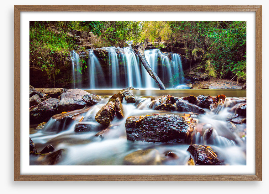 Timber falls