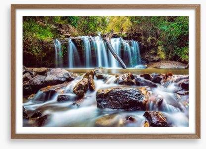Timber falls