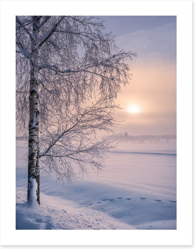 Soft winter sunrise