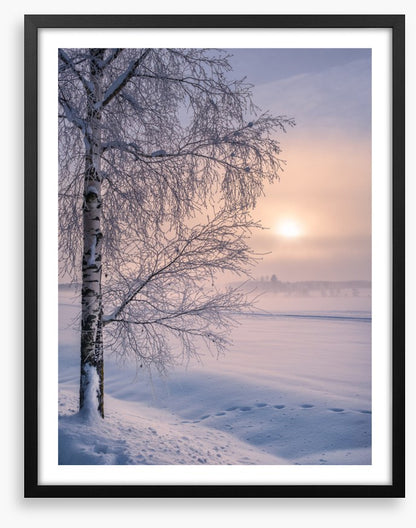 Soft winter sunrise