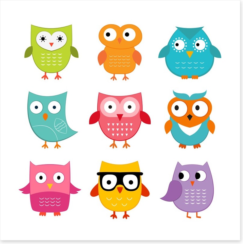 Owls