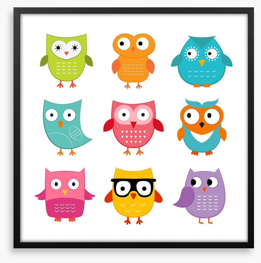 Owls