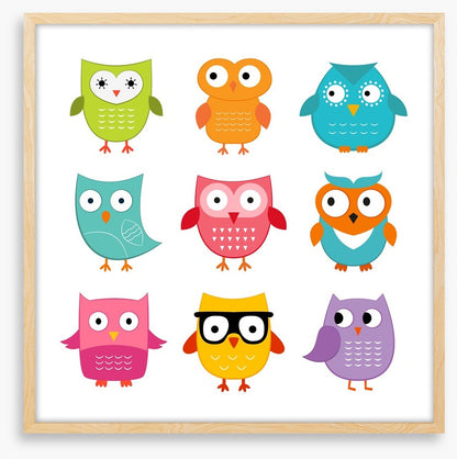 Owls