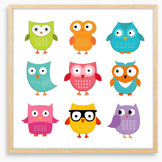 Owls