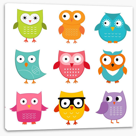 Owls