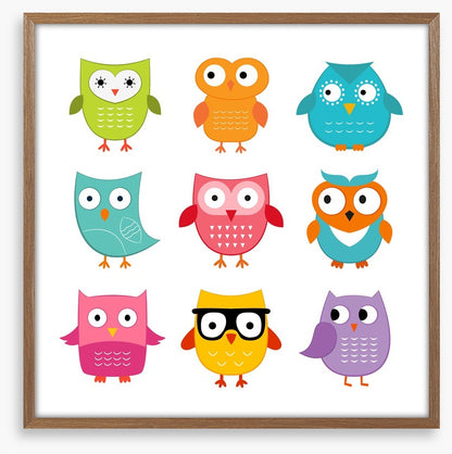Owls