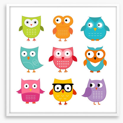 Owls
