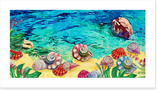 Seashell shores
