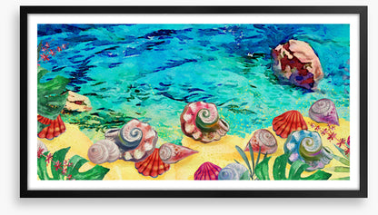 Seashell shores