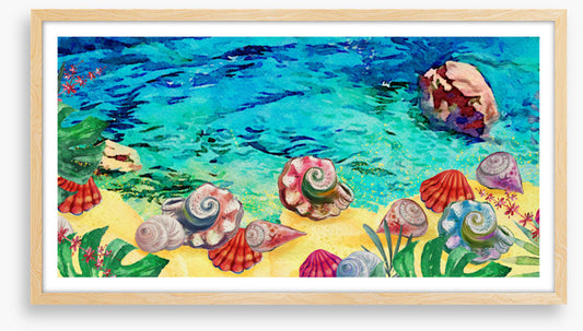 Seashell shores