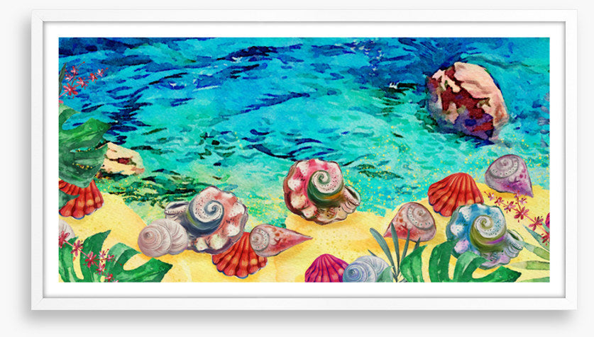 Seashell shores