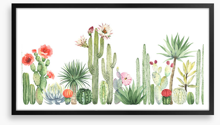 The cactus crowd