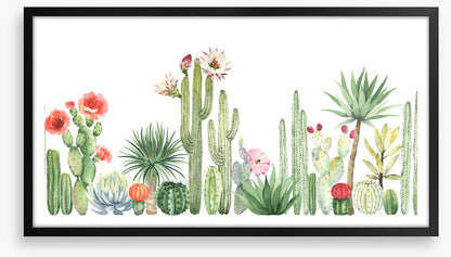 The cactus crowd