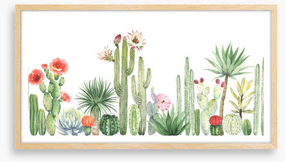 The cactus crowd