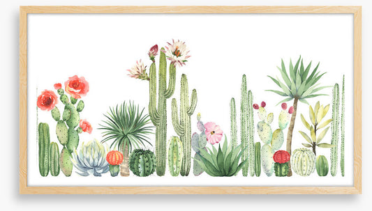 The cactus crowd