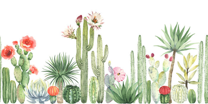 The cactus crowd