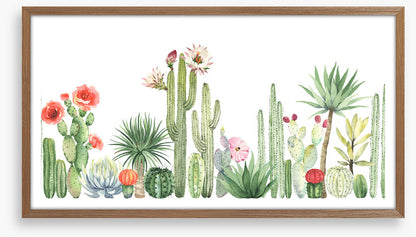 The cactus crowd
