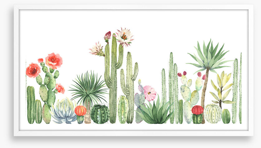 The cactus crowd
