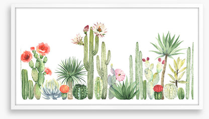The cactus crowd