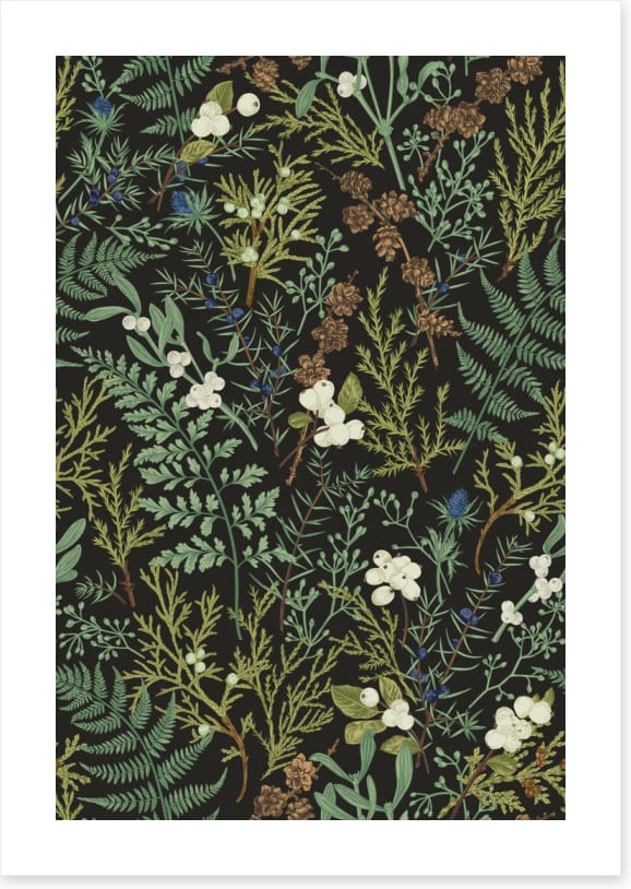 Ferny friends 1