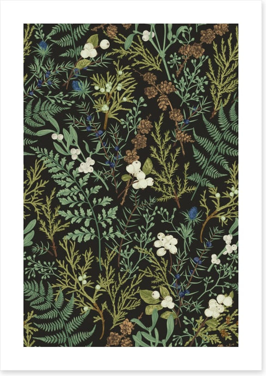 Ferny friends 1