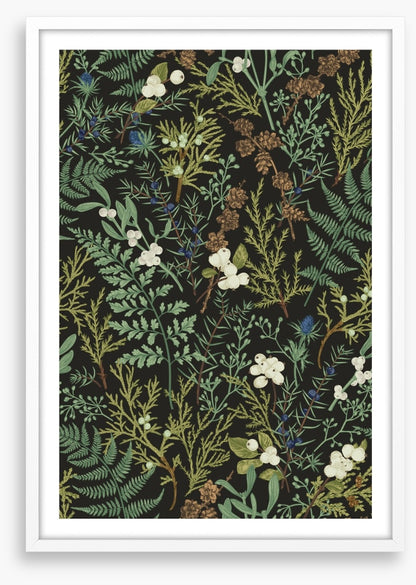 Ferny friends 1