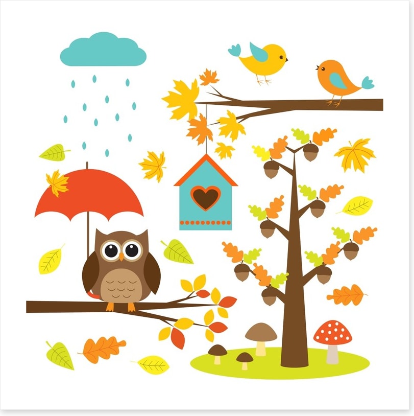 Autumnal owl