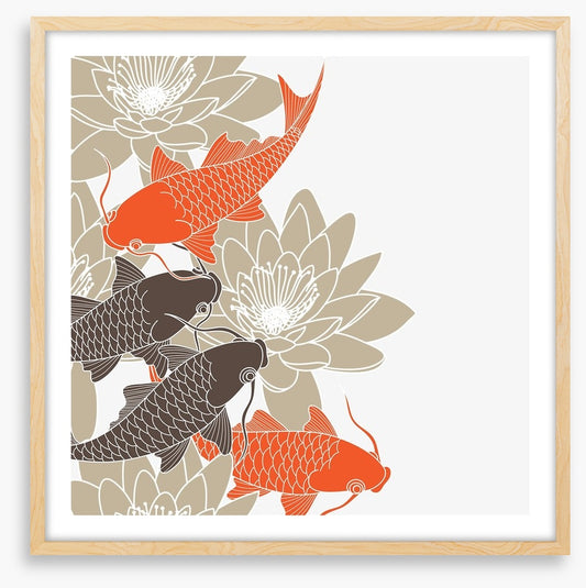 Lotus and koi