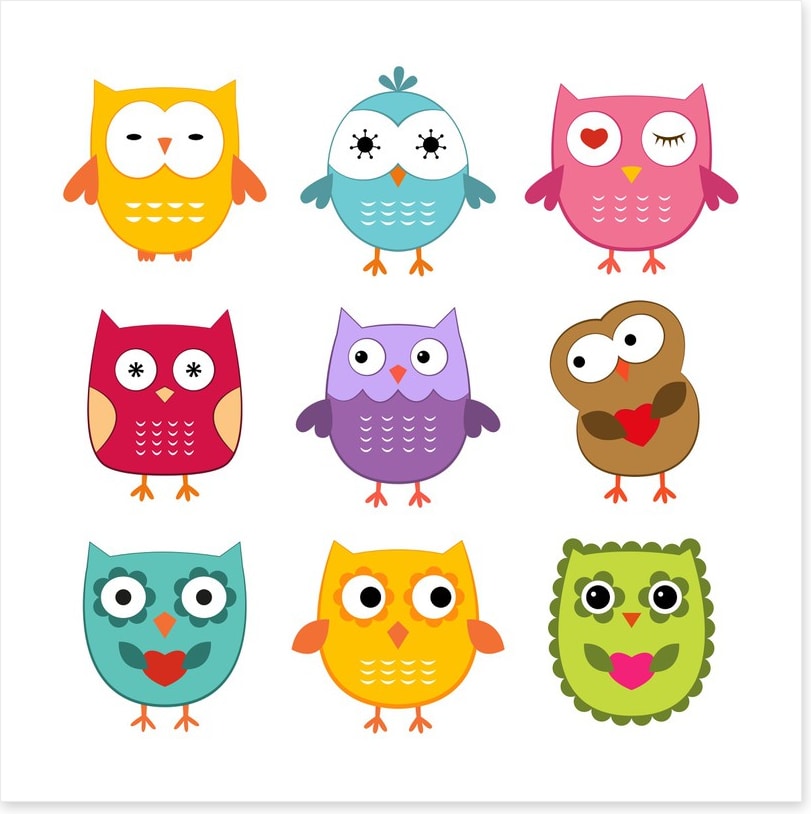 Owls