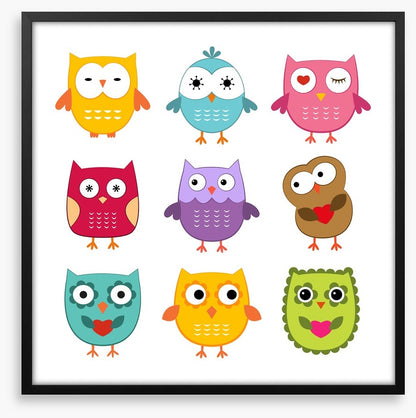 Owls