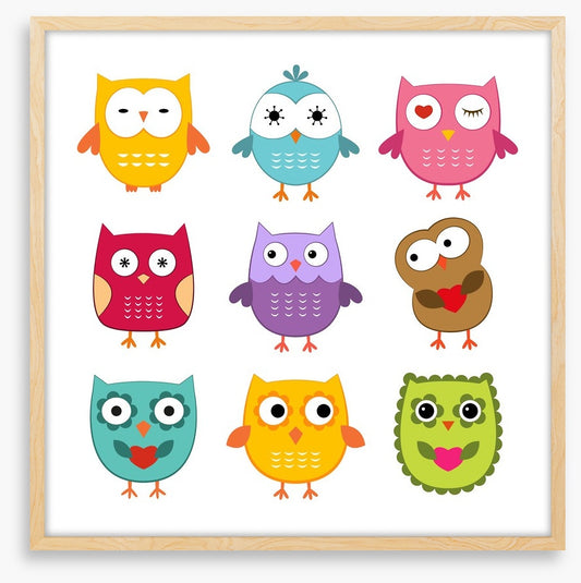 Owls