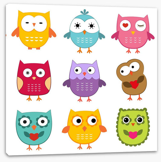 Owls