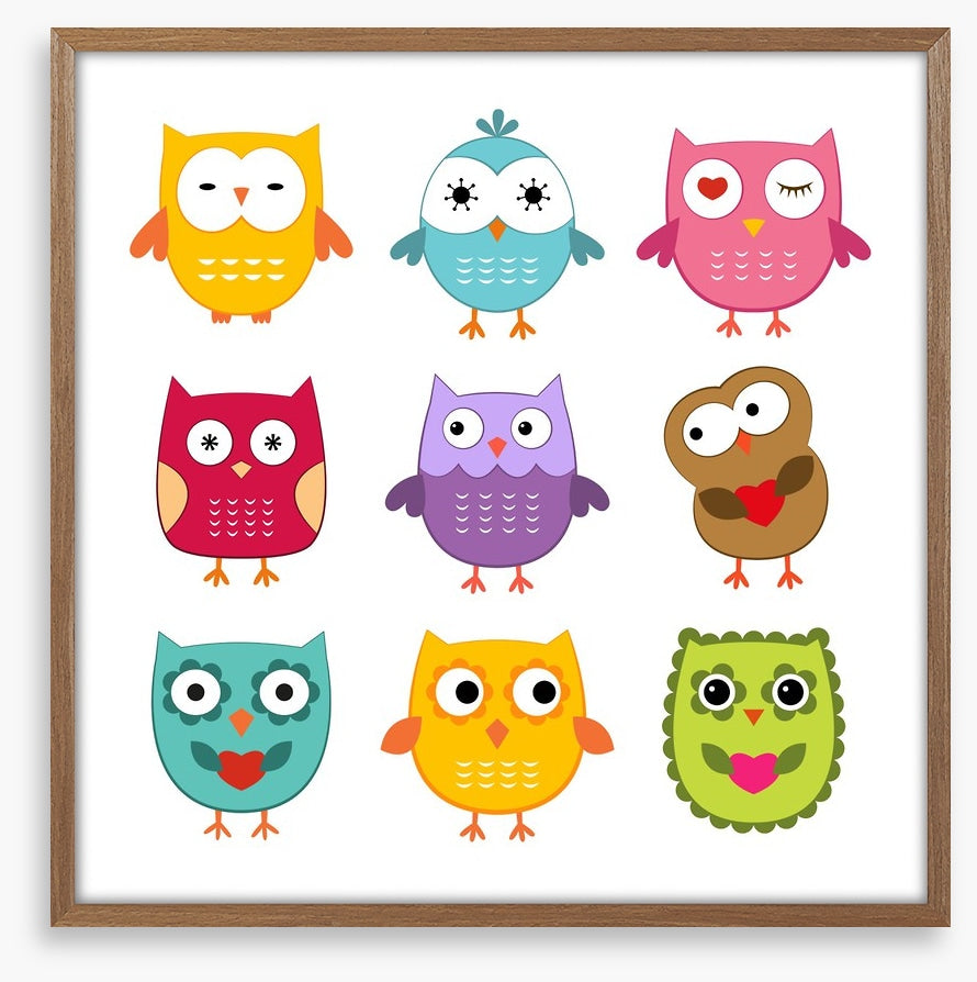 Owls