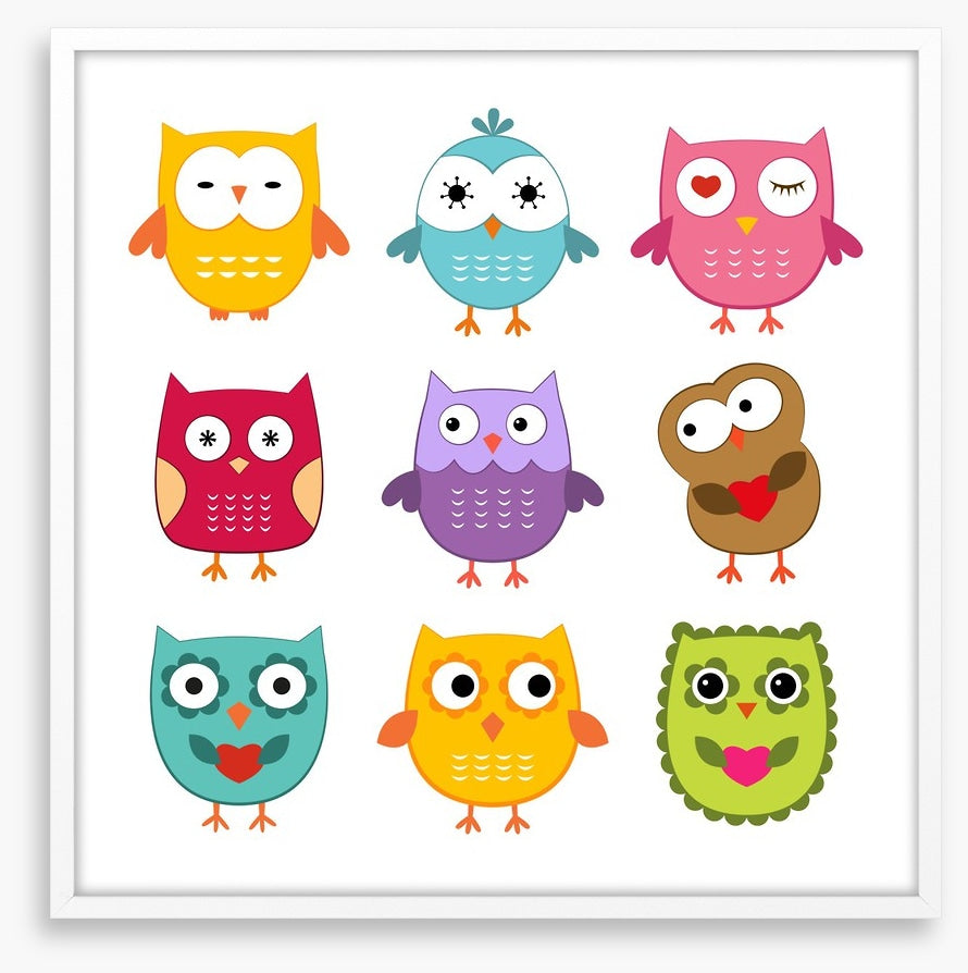 Owls