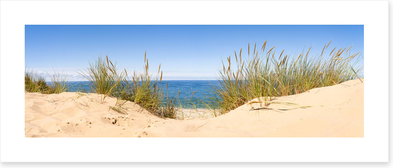 Sandgrass panorama