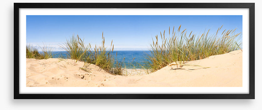 Sandgrass panorama