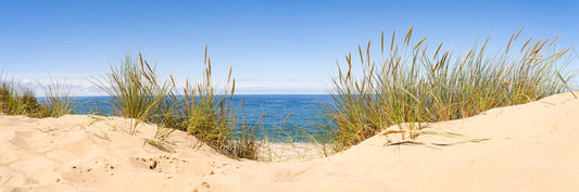 Sandgrass panorama