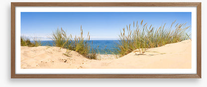 Sandgrass panorama