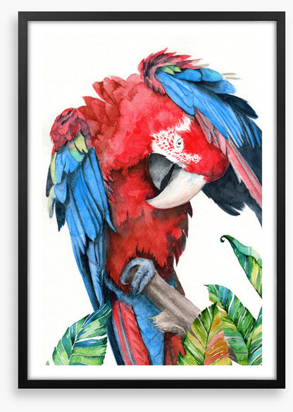 Preening parrot