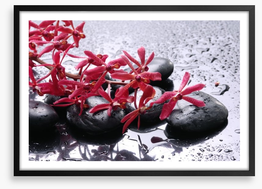 Blossoming zen
