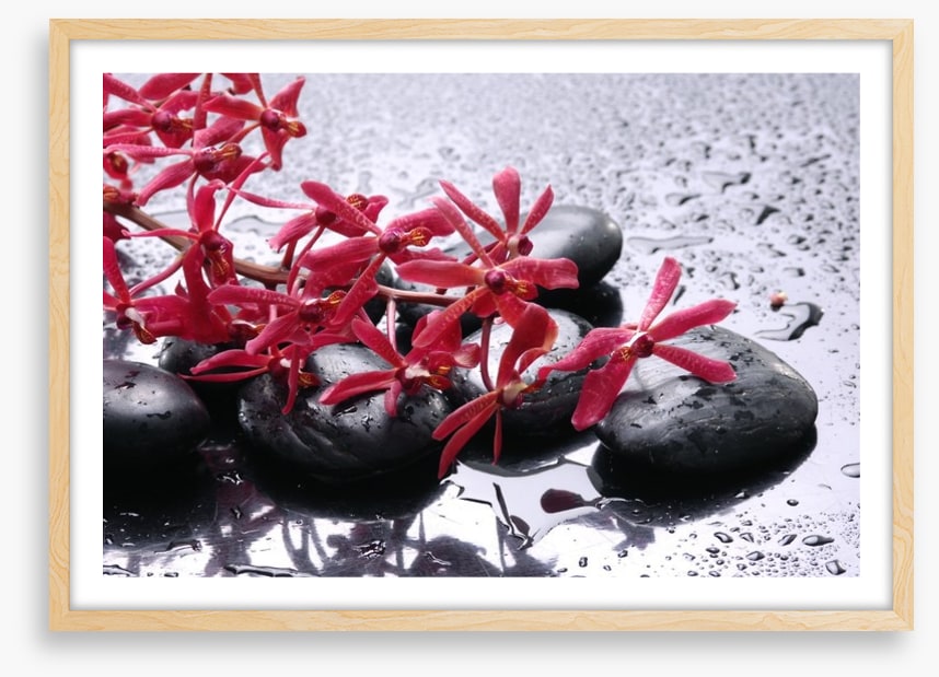 Blossoming zen