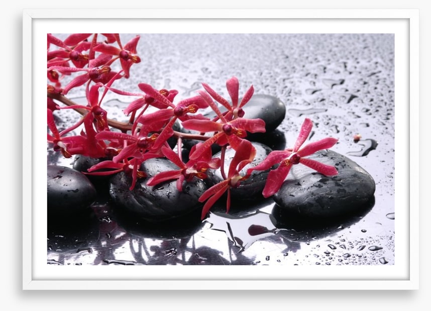 Blossoming zen