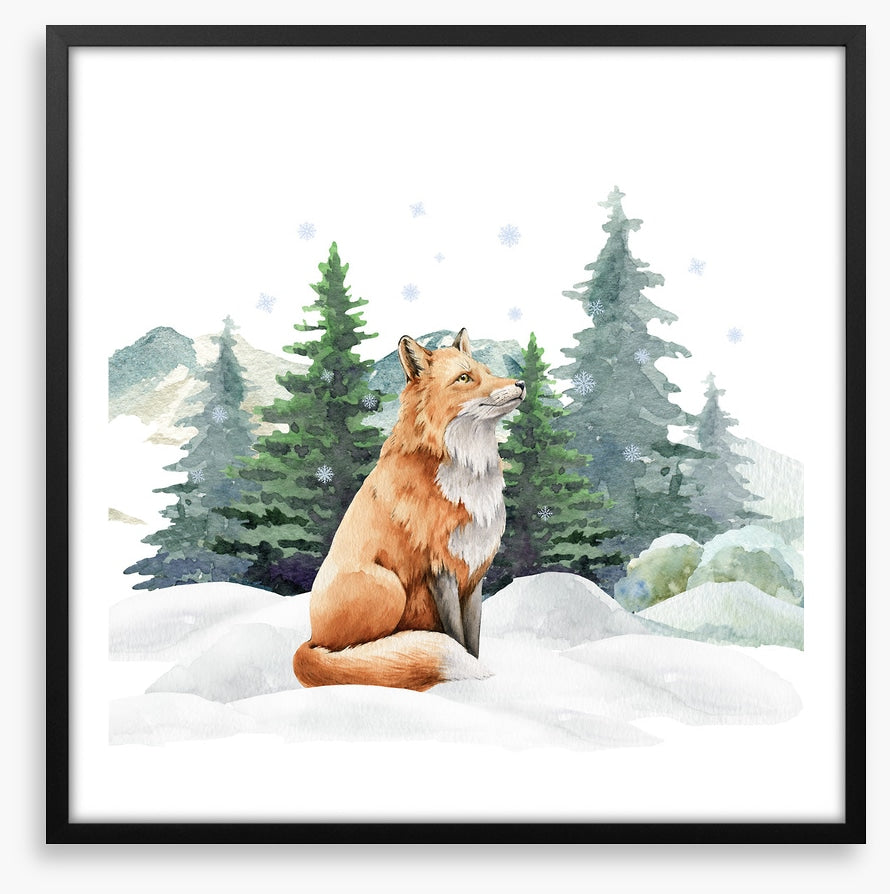 Fir tree fox
