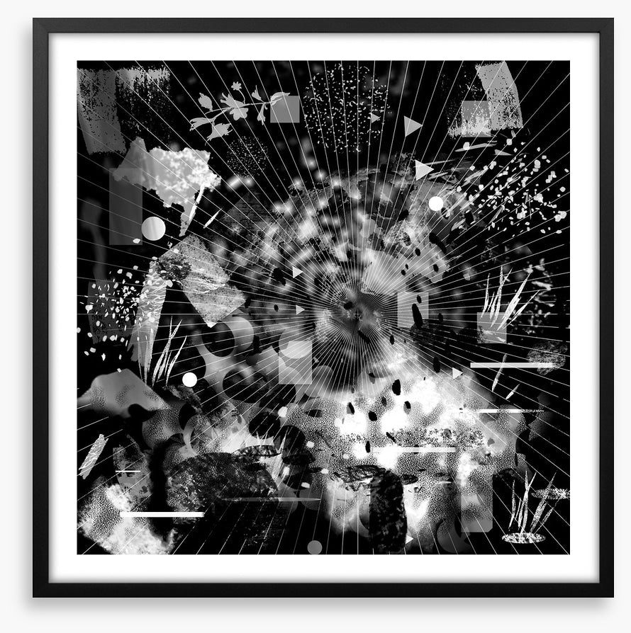 Black and White