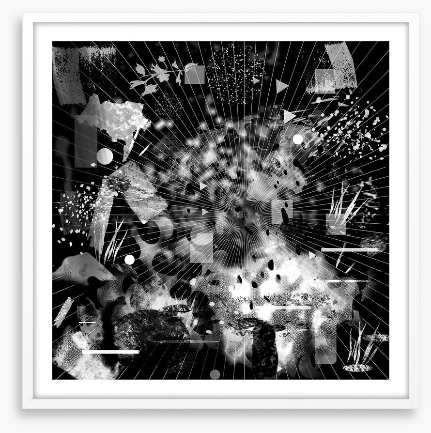 Black and White