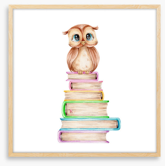 Know it owl