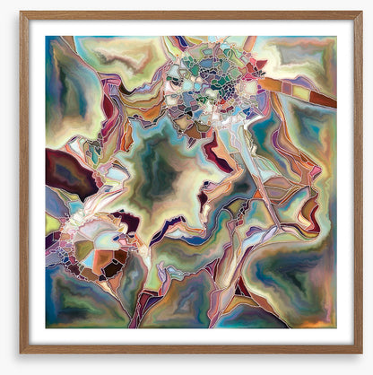 Stranger in a dream