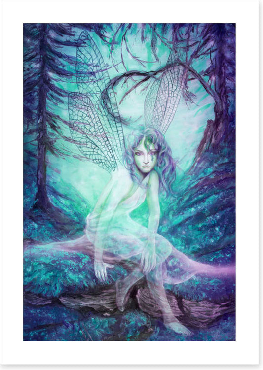 The dragonfly fairy